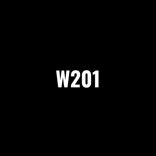 W201