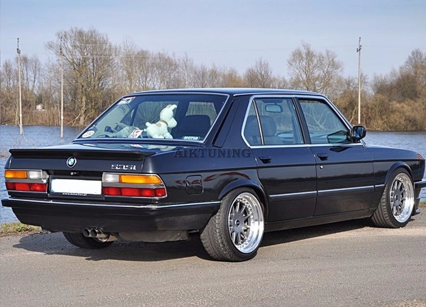 Front and Rear Bumper Spoiler Tuning Apron Valance Lip (Fits BMW E28 Pfeba Alpina)